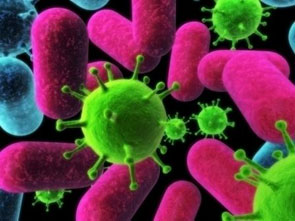 Infectious Disease