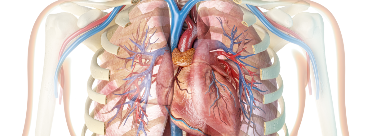 Post Covid-19 Treatment Center