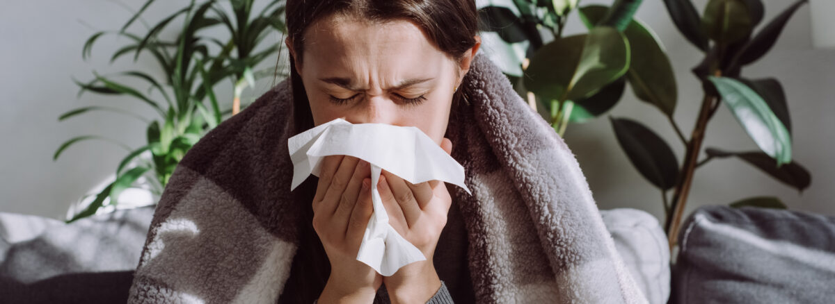 Immune system
