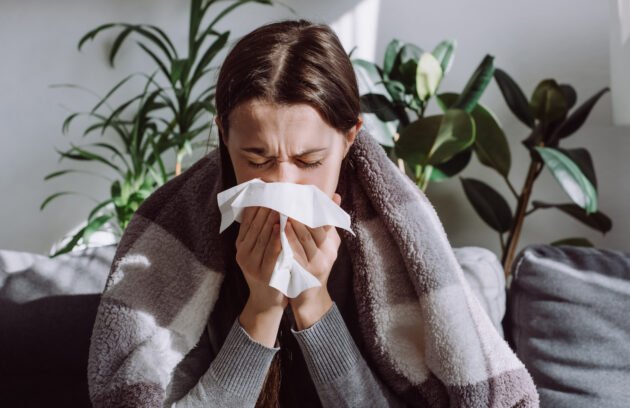 Immune system