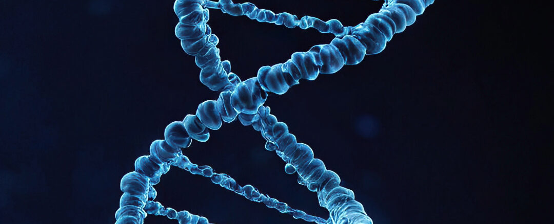 Cardiology genetics