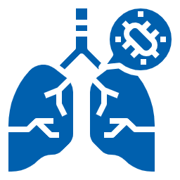 lungs