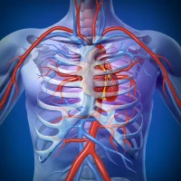 Long Island's Best Cardiologists